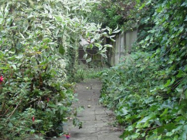 Before: view of overgrown steps and path